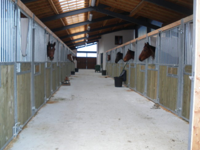Box intérieur pour chevaux | LMS Bourbonnaise