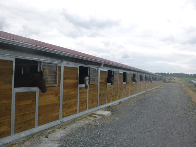 Barns pour chevaux | LMS Bourbonnaise